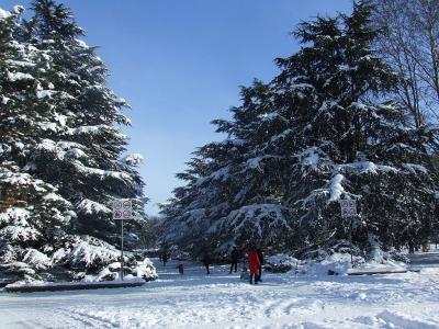 Прикрепленное изображение: p07.jpg